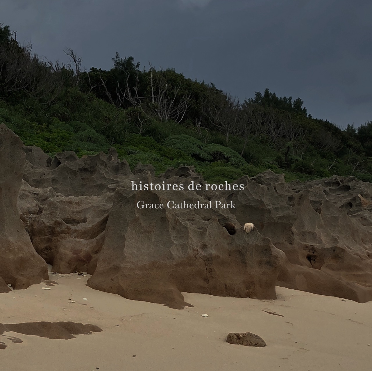 Grace Cathedral Park “histoires de roches”